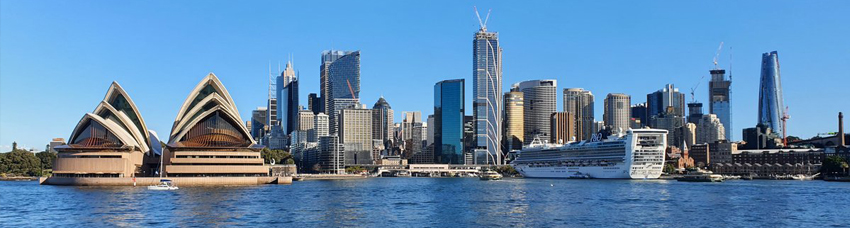 Sydney Harbour seen from the Harbour Bridge: the Opera House, Circular Quay and a cruise ship at the terminal